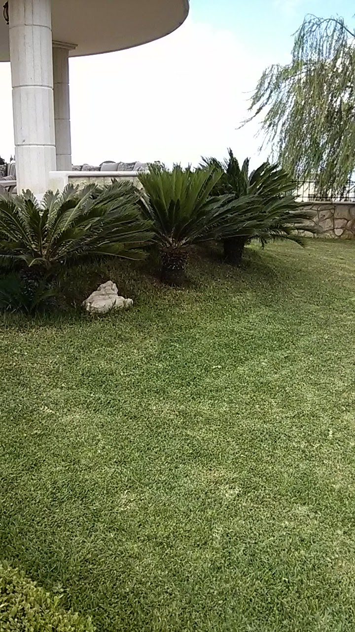 IMG________________