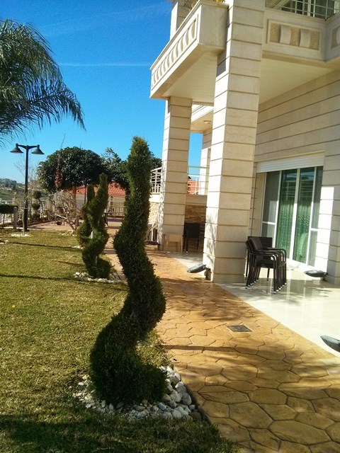 IMG________________