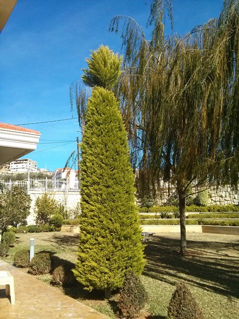 IMG_________________2