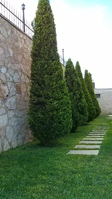 IMG_________________7