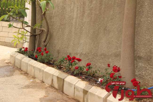 Image00016